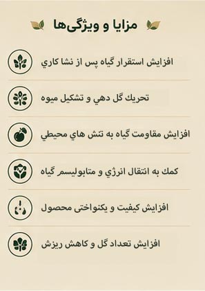 کود مونوفسفات پتاسیم پلنتوپ 0-52-34 زیگلر (Plantop 0-52-34 Innovative) - Image 3