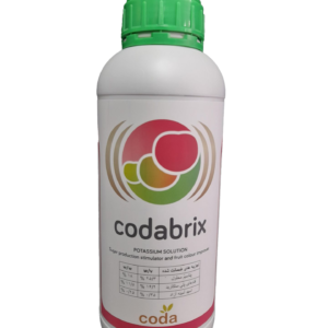 کدابریکس coda