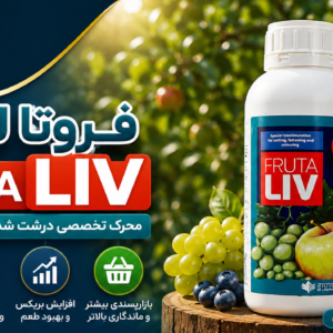 فروتالیو