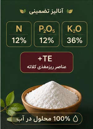 کود کامل NPK 12-12-36 پلنتوپ اینوویتیو زیگلر آلمان - Image 2