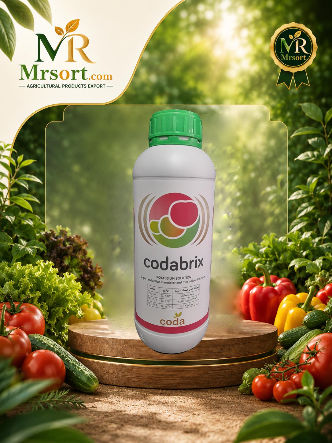 کدابریکس coda