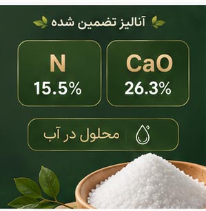نیترات کلسیم Hydroponica Calnit - Image 2