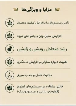 کود Plantop (Ziegler) NPK 20-20-20 + TE پلنتوپ - Image 3