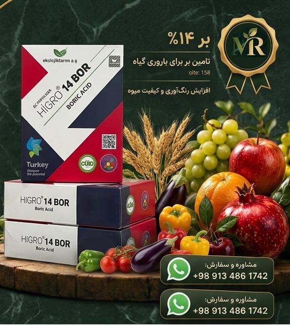 کود اسید بوریک