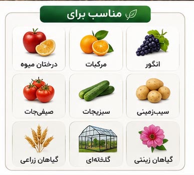 کود سه بیست با عناصر ریز مغذی LAXAMEN NPK 20-20-20 + TE - Image 6