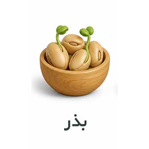 کود ها